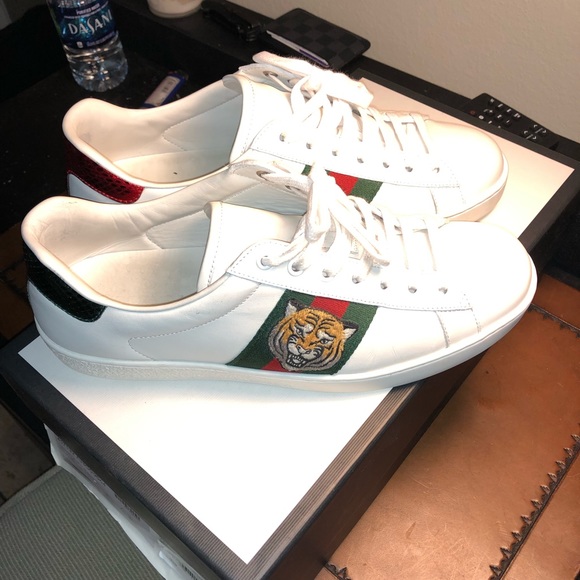 gucci tiger shoes price